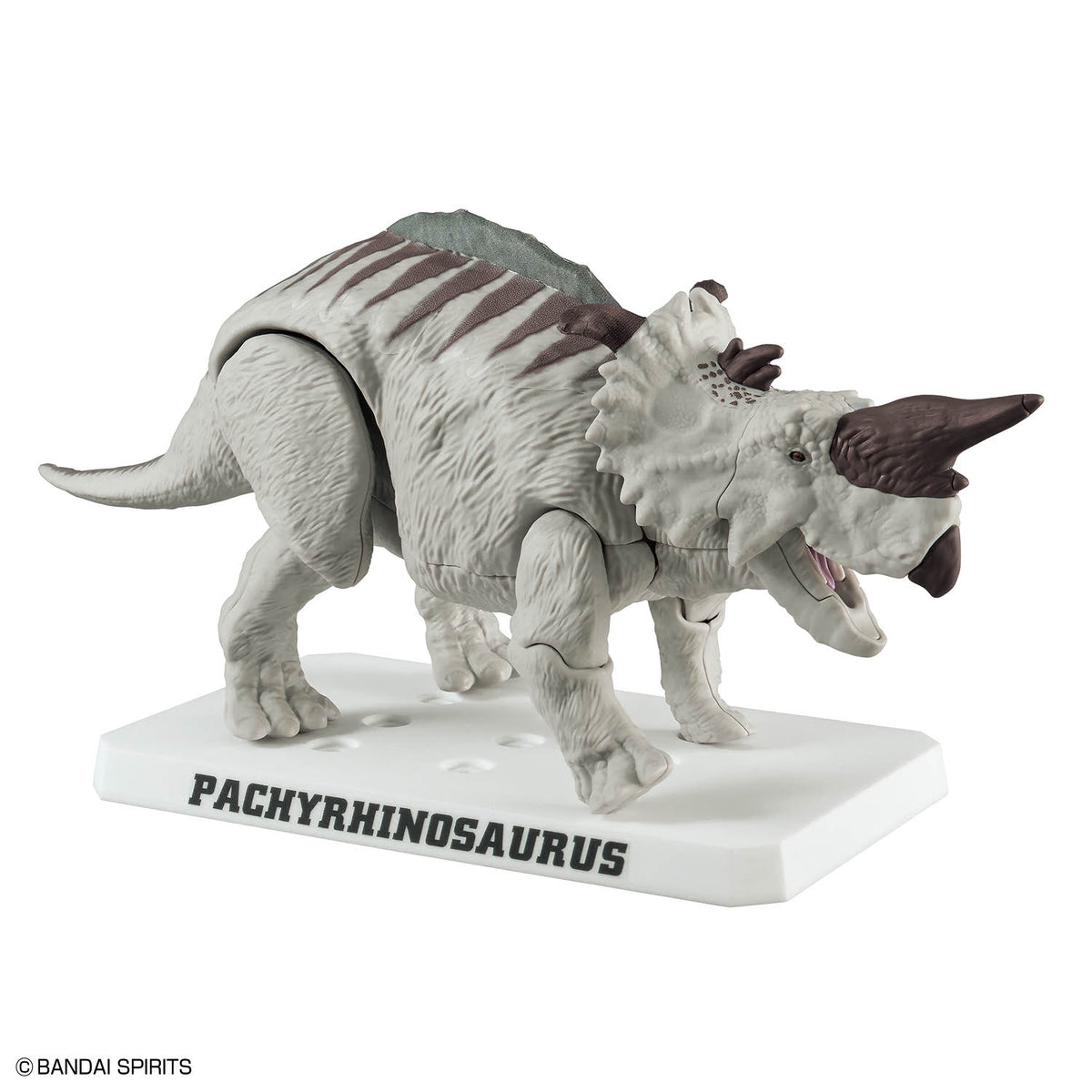 Plannosaurus Pachyrhinosaurus Model Kit