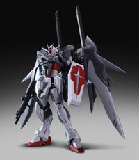 Revenger Bird - 05 - Destiny Warrior Destiny Sister R