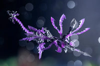 Arcanadea XenoAlma Tidal Orketos Model Kit