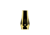 Gaahleri Aventus Gold Needle Chucking Nut