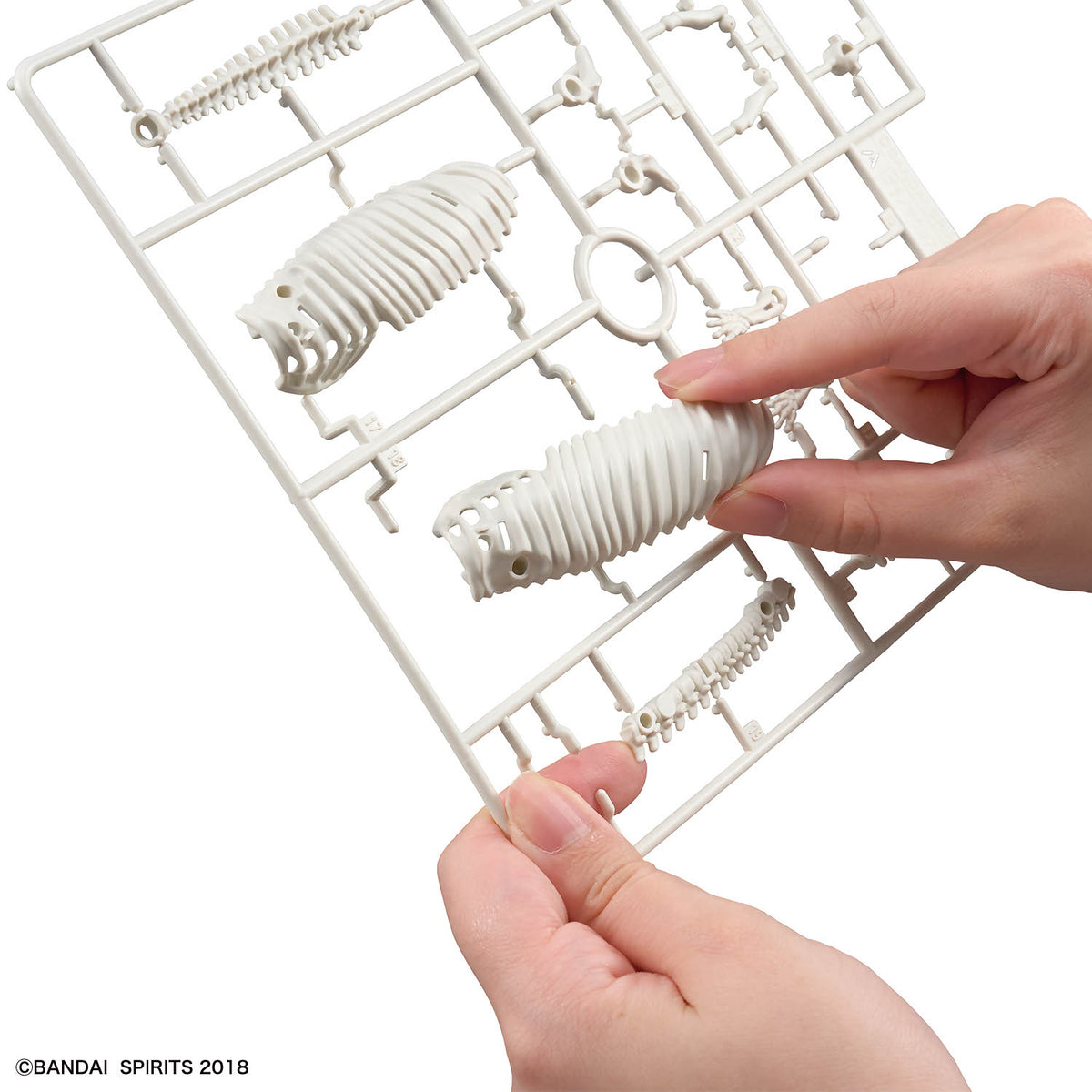 Plannosaurus Hydrodamalis Gigas Model Kit