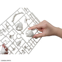 Plannosaurus Pachyrhinosaurus Model Kit