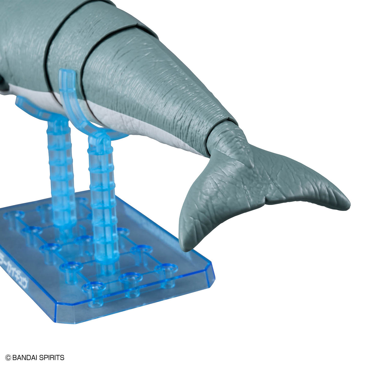 Plannosaurus Hydrodamalis Gigas Model Kit