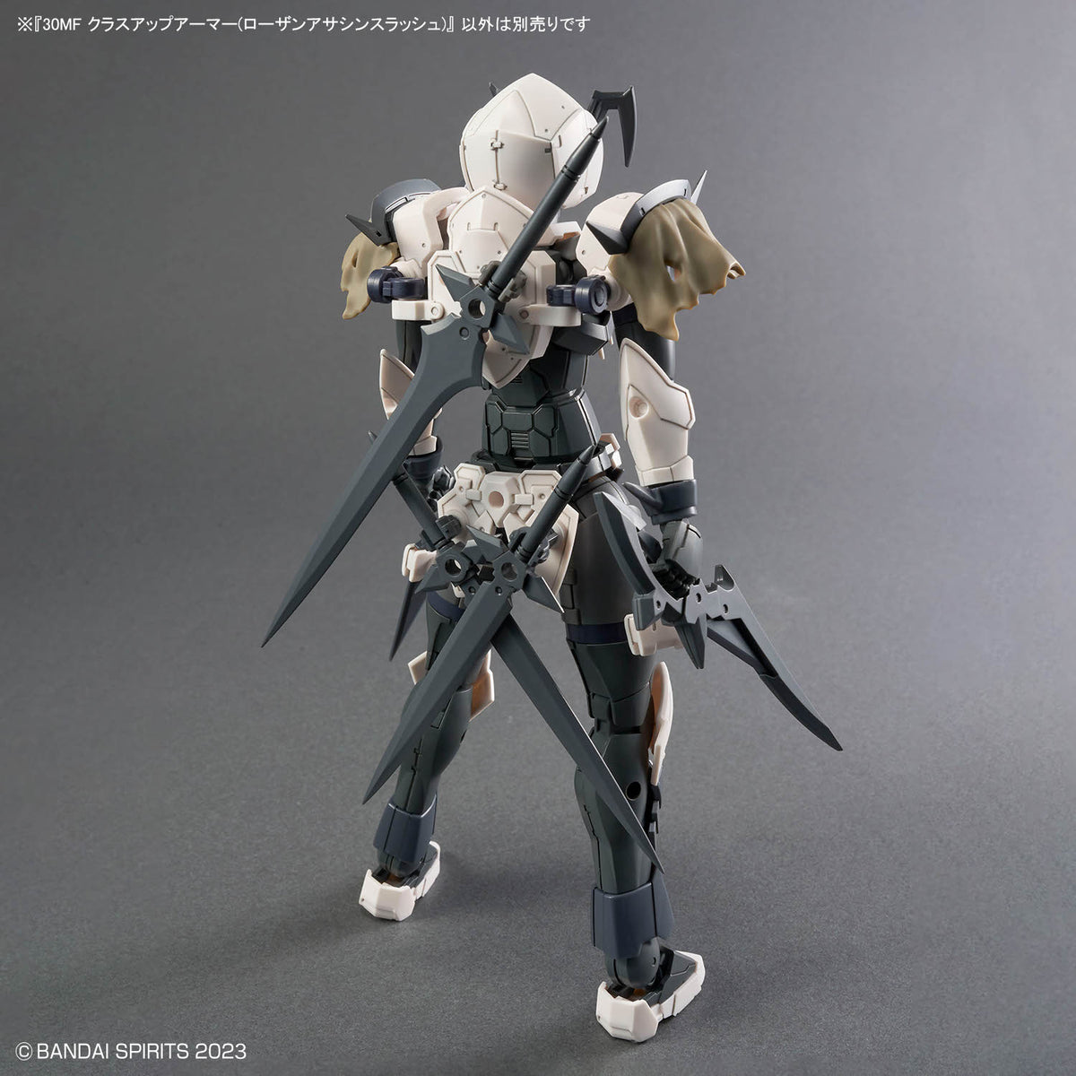 30 Minutes Fantasy Class-Up Armor Rosan Assassin Slash Accessory Set
