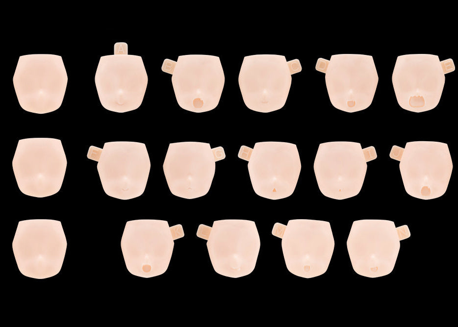 Megami Device M.S.G. 10 Puni☆Mofu 01 Skin Color C Face Set