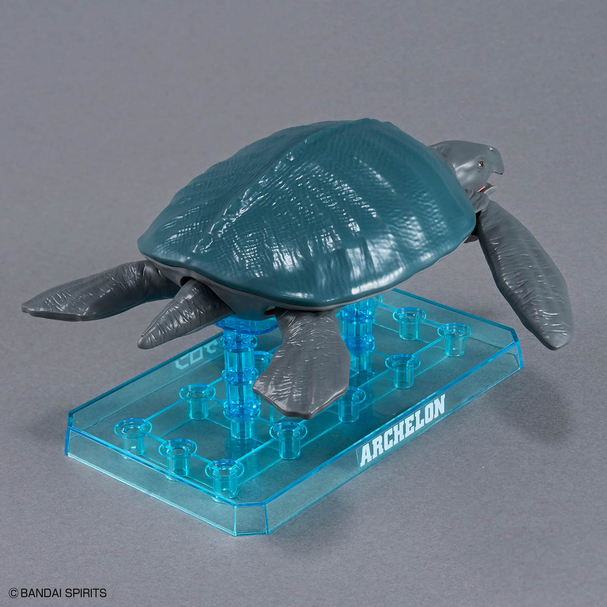 Plannosaurus Archelon Model Kit