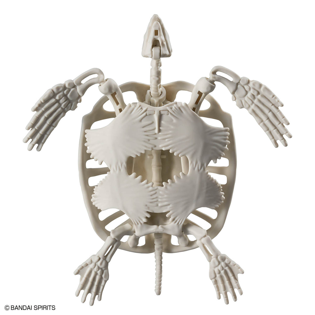 Plannosaurus Archelon Model Kit
