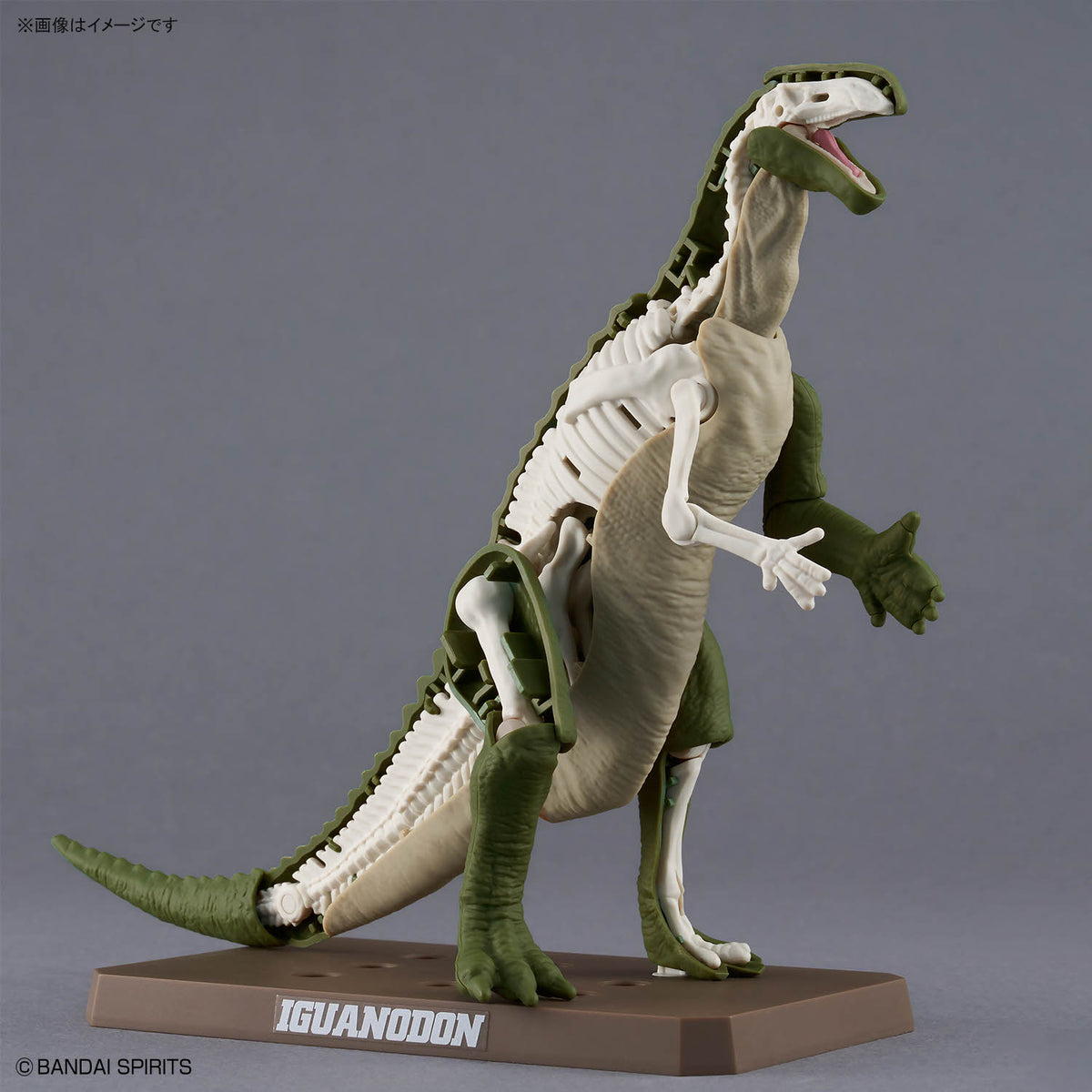 Plannosaurus Iguanodon Model Kit