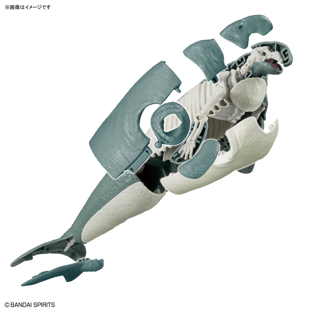 Plannosaurus Hydrodamalis Gigas Model Kit