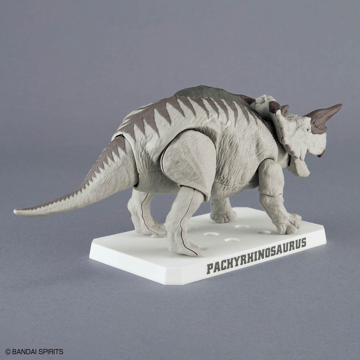 Plannosaurus Pachyrhinosaurus Model Kit