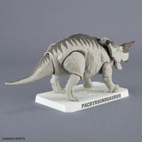 Plannosaurus Pachyrhinosaurus Model Kit