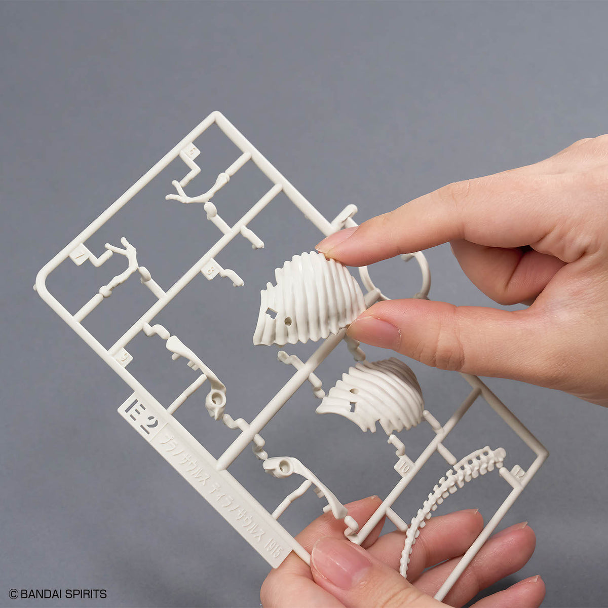 Plannosaurus Tyrannosaurus (1915) Model Kit