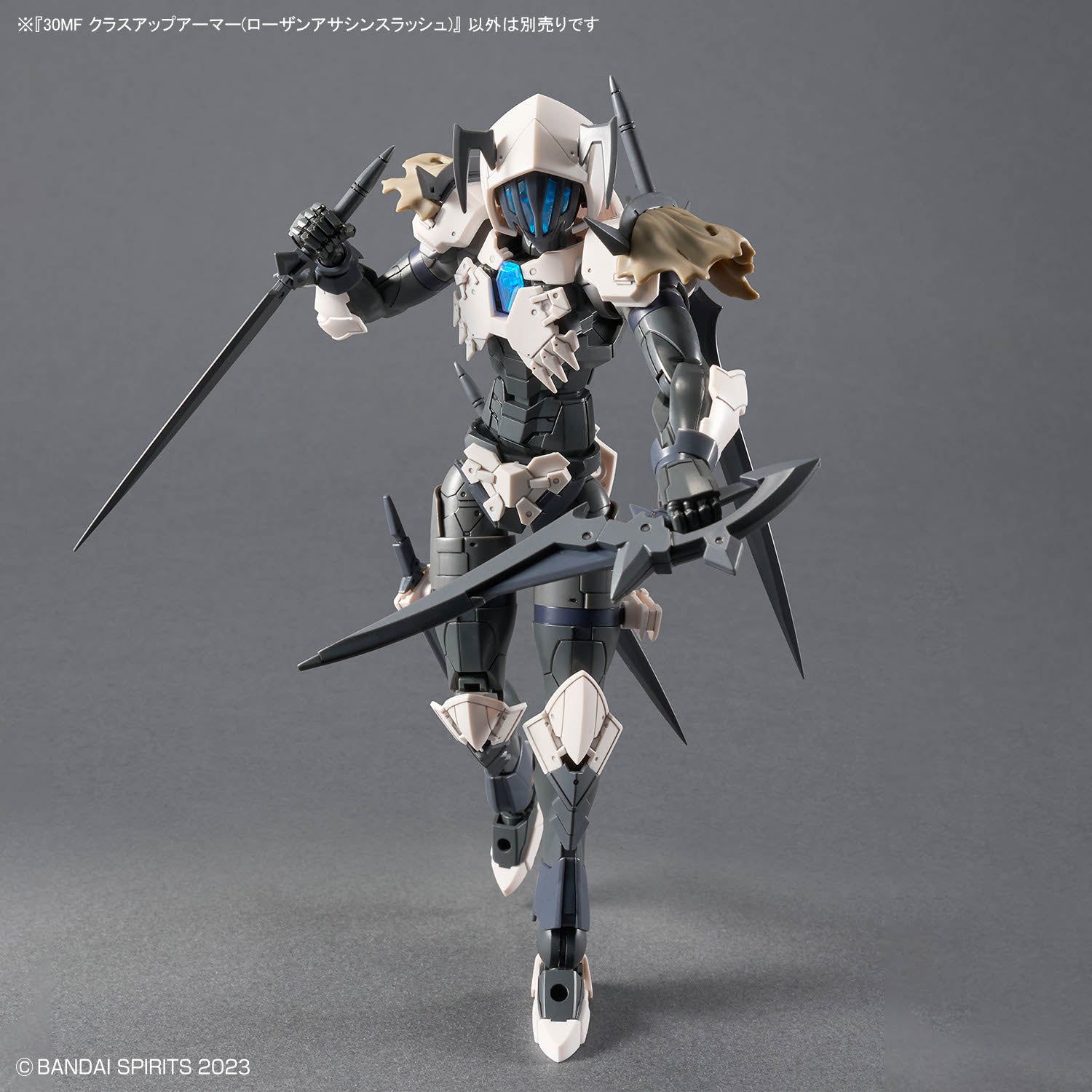 30 Minutes Fantasy Class-Up Armor Rosan Assassin Slash Accessory Set