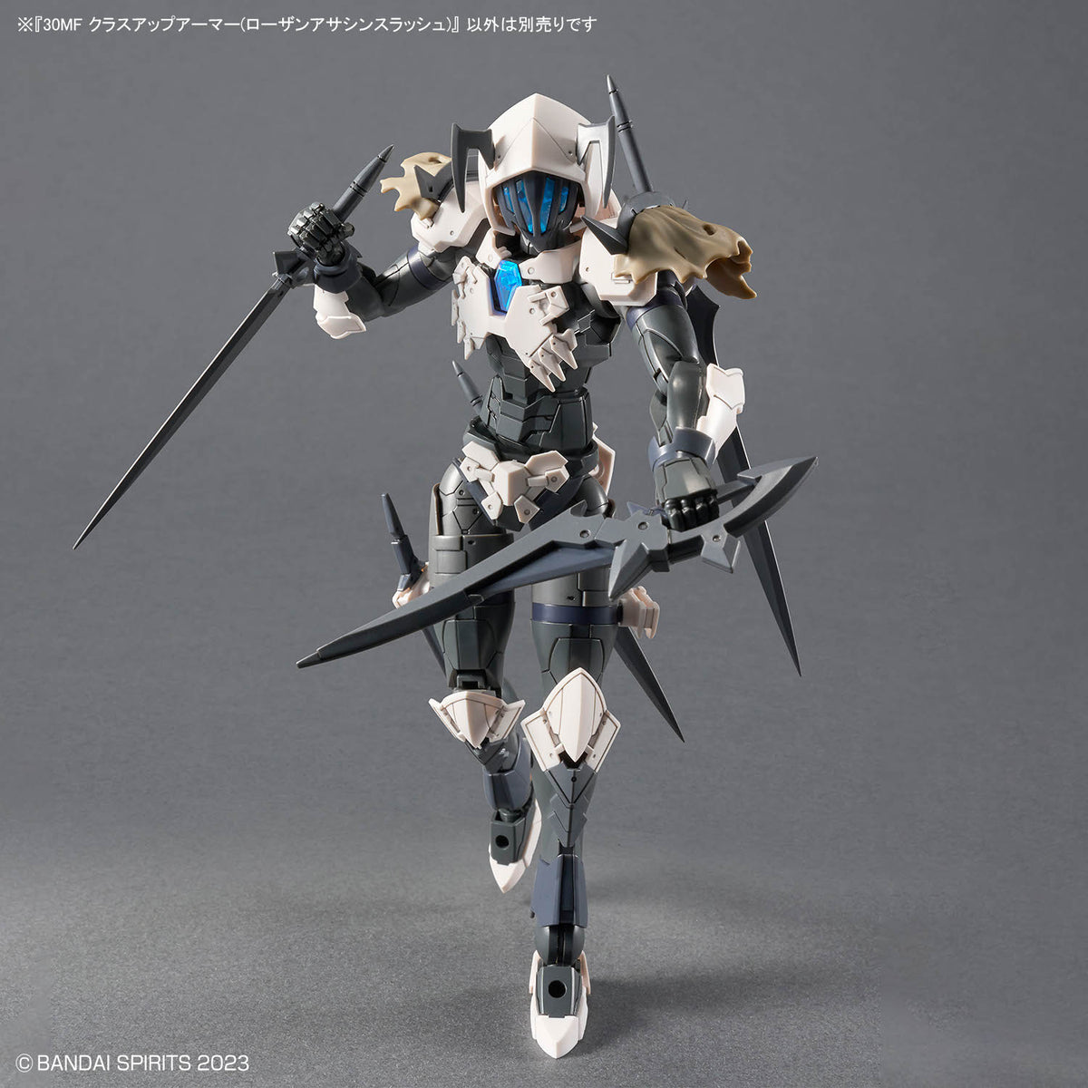 30 Minutes Fantasy Class-Up Armor Rosan Assassin Slash Accessory Set