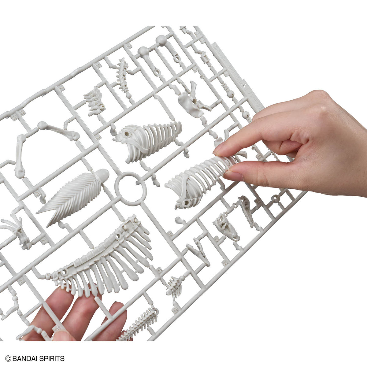Plannosaurus Spinosaurus (1915) Model Kit