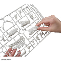 Plannosaurus Spinosaurus (1915) Model Kit