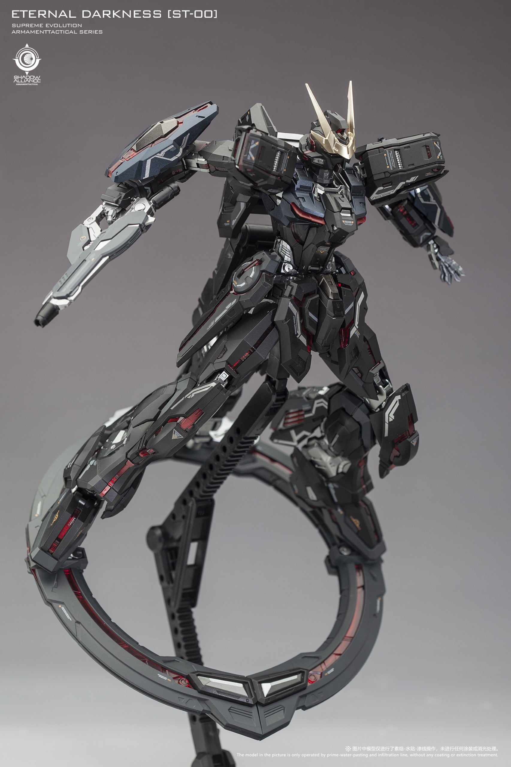Eternal Darkness Limited Edition Model Kit (ST-00) Star Glory