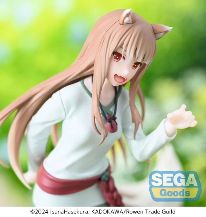 Spice and Wolf Desktop x Decorate Collections Holo Figure