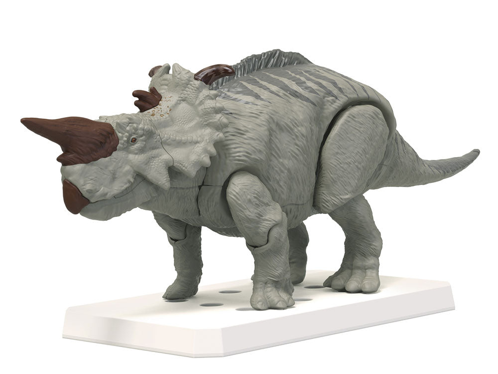 Plannosaurus Pachyrhinosaurus Model Kit