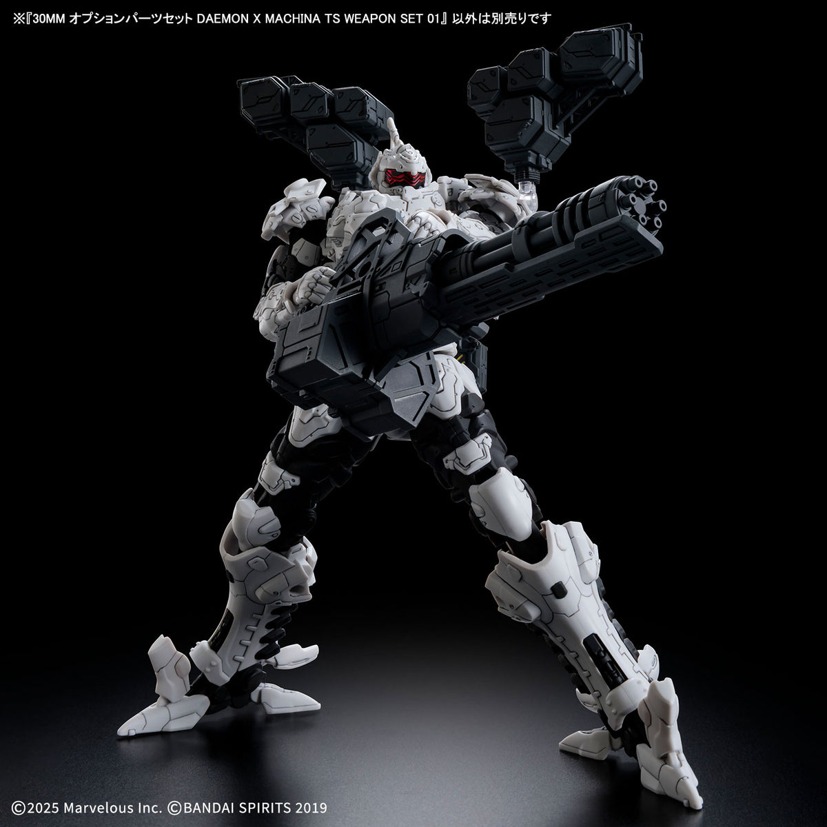 Daemon X Machina Titanic Scion 30 Minutes Missions TS Weapon Set 01 Option Parts Set