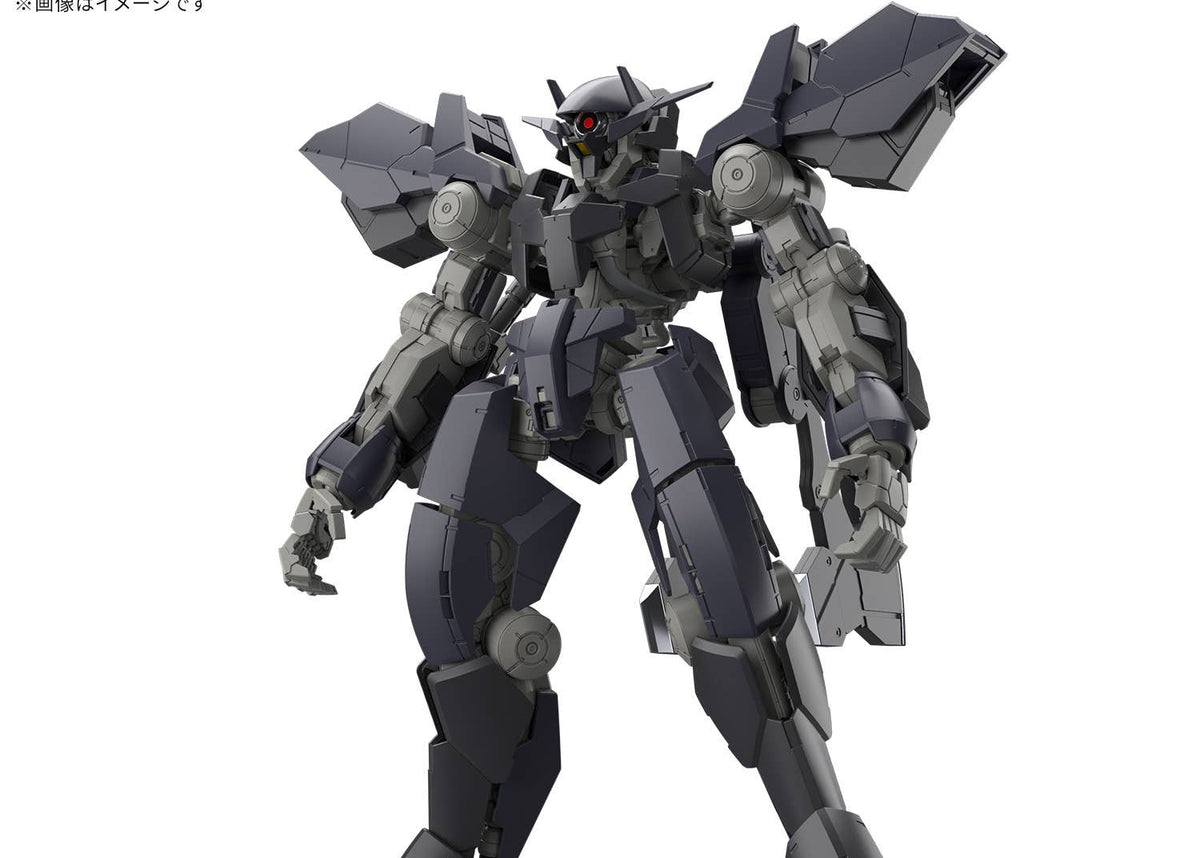 Full Mechanics 1/100 Graze Ein model kit