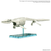 Plannosaurus Mosasaurus (1899) Model Kit