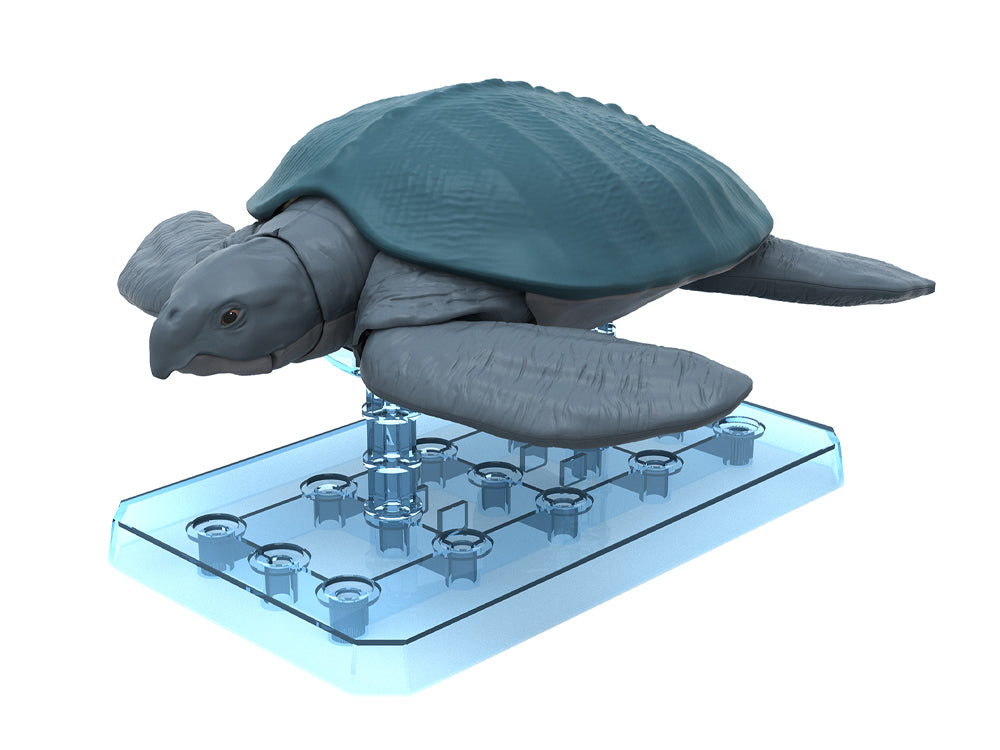 Plannosaurus Archelon Model Kit