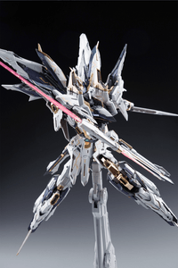 Infinity Nova Aurora 1/100 Scale Model Kit