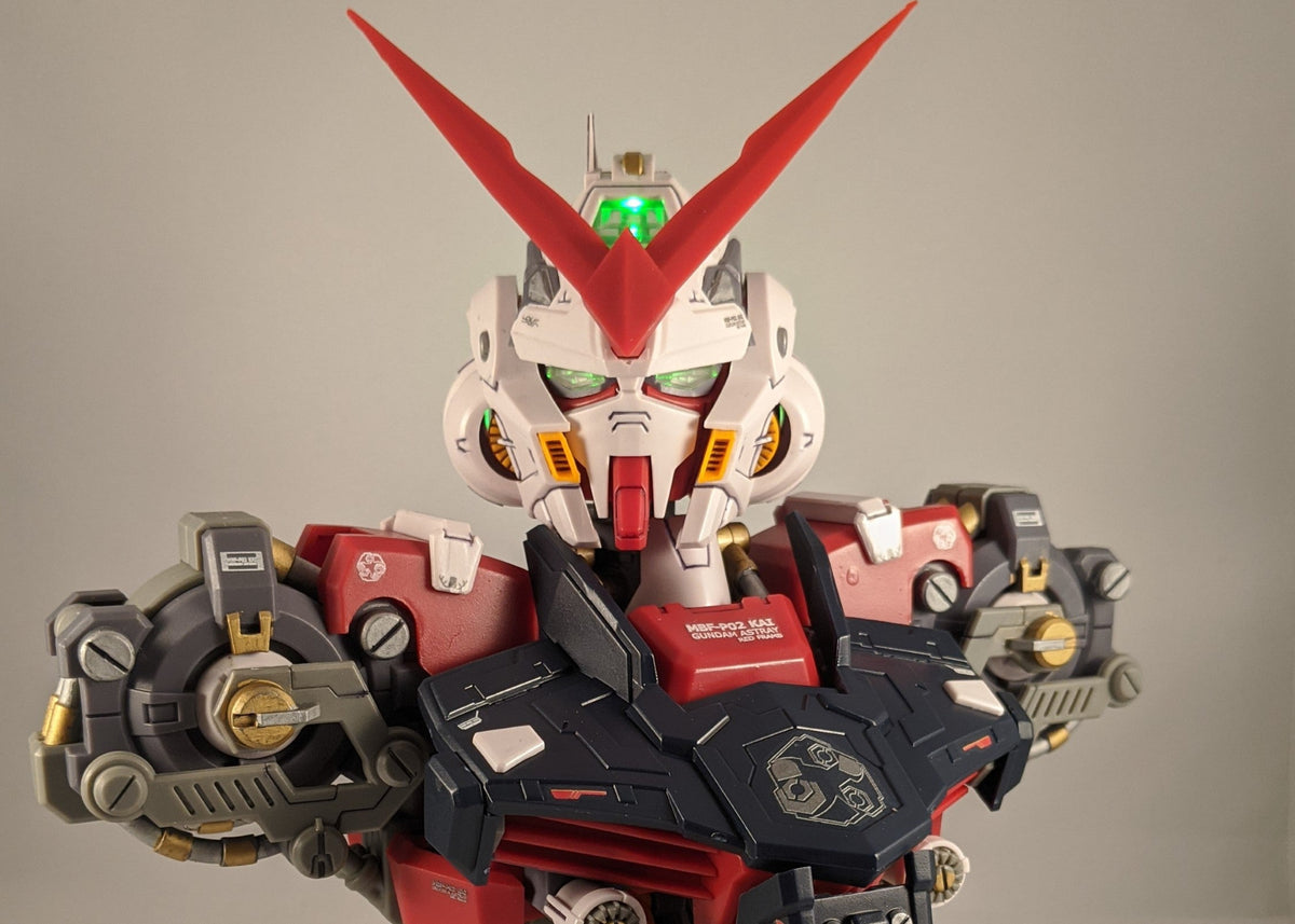 1/35 Astray Busts Red