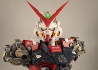 1/35 Astray Busts Red
