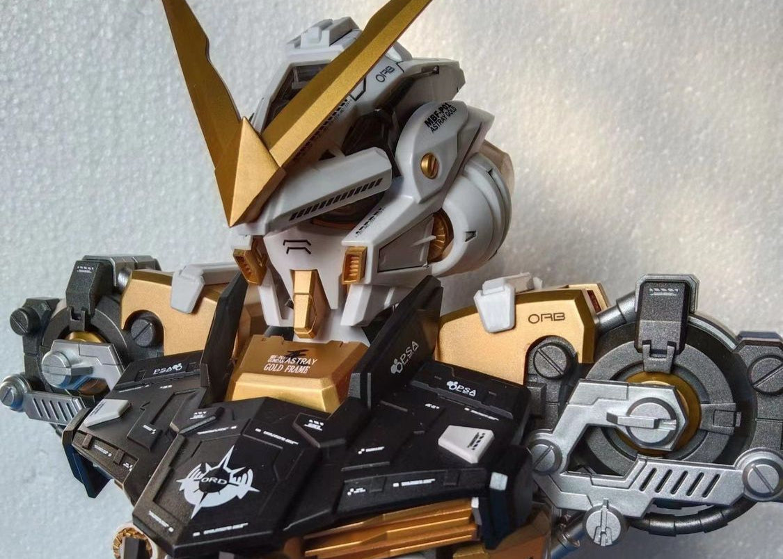 1/35 Astray Busts Gold