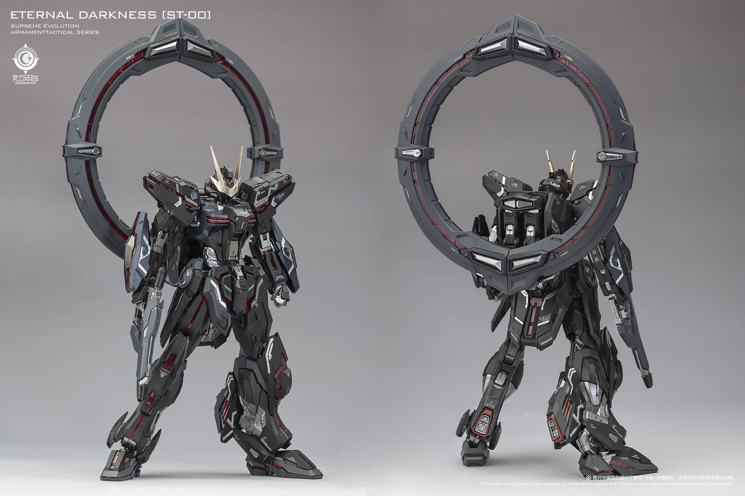 Eternal Darkness Limited Edition Model Kit (ST-00) Star Glory