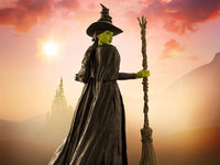 Wicked S.H.Figuarts Elphaba Action Figure