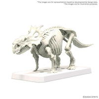 Plannosaurus Pachyrhinosaurus Model Kit