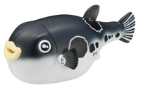 Blowfish Kaitai Puzzle