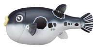 Blowfish Kaitai Puzzle