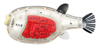 Blowfish Kaitai Puzzle