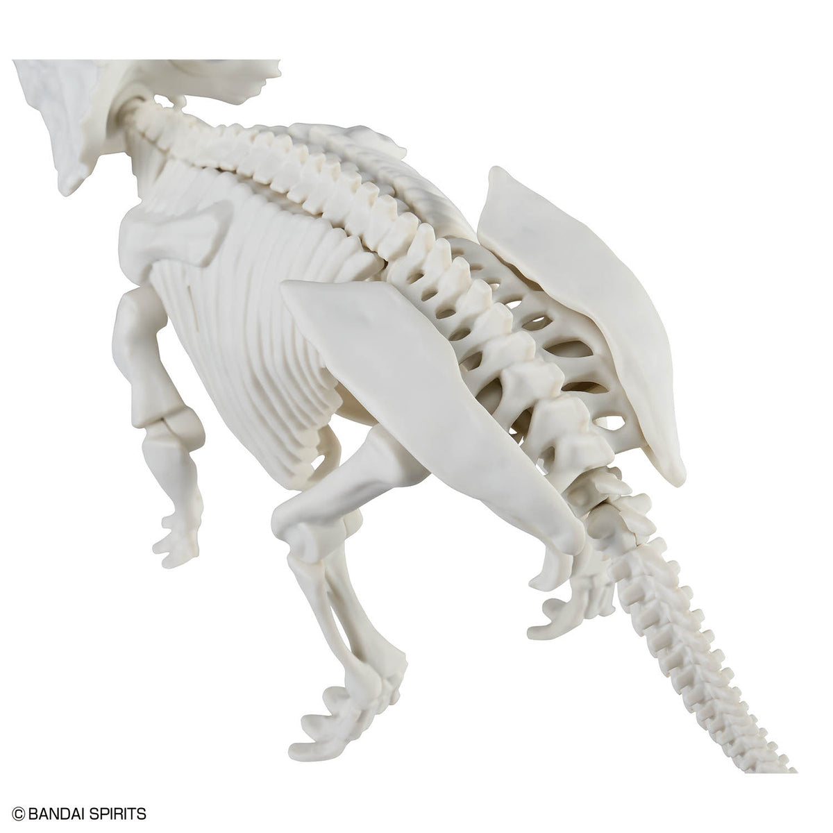 Plannosaurus Pachyrhinosaurus Model Kit