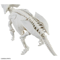 Plannosaurus Pachyrhinosaurus Model Kit