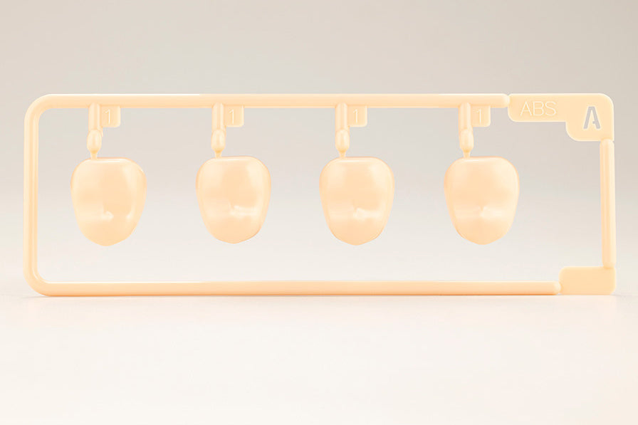 Sousai Shoujo Teien Vol. 5 Customized Face & Decal 1/10 Scale Set