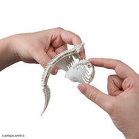 Plannosaurus Pachyrhinosaurus Model Kit