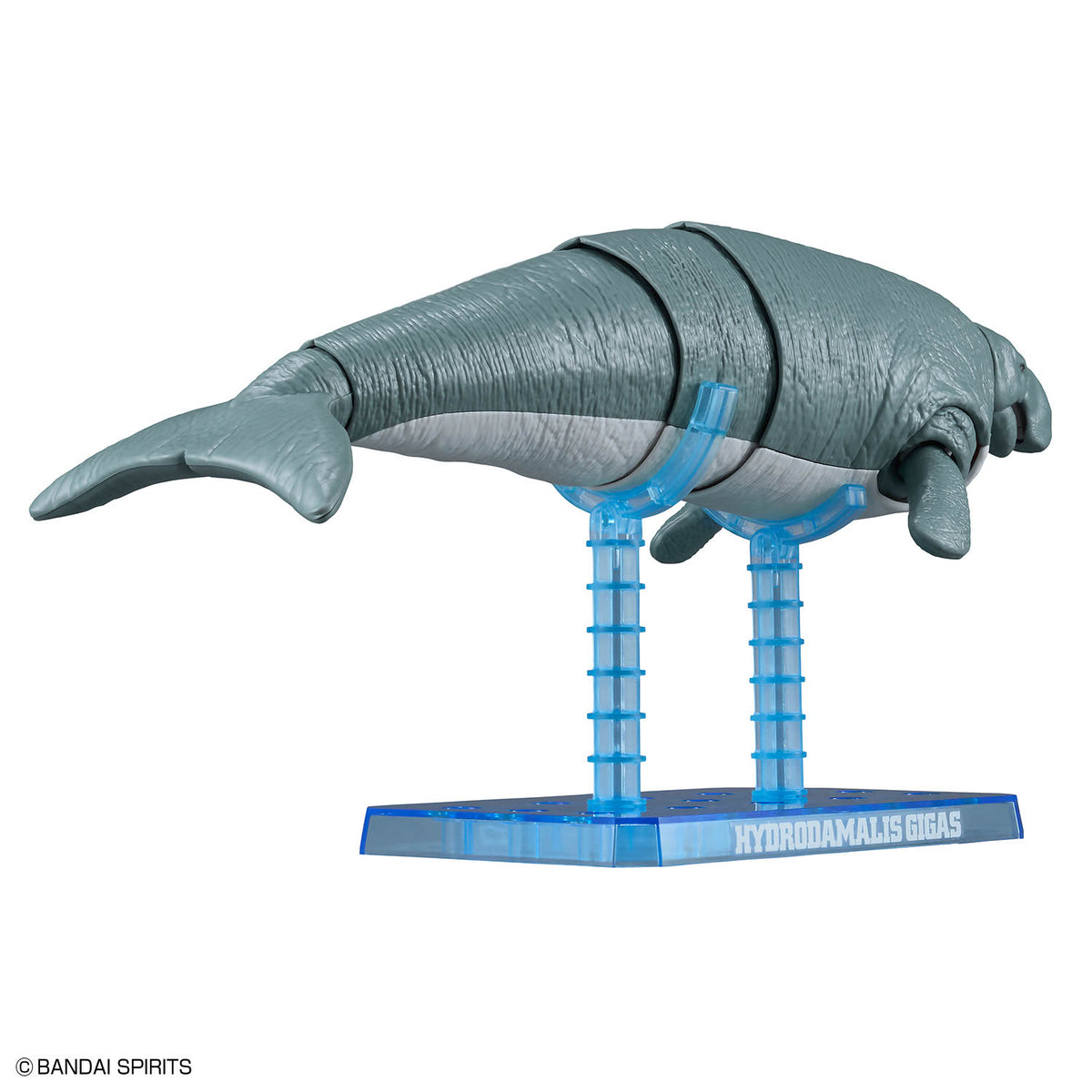 Plannosaurus Hydrodamalis Gigas Model Kit