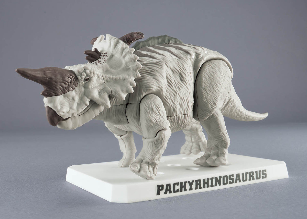 Plannosaurus Pachyrhinosaurus Model Kit