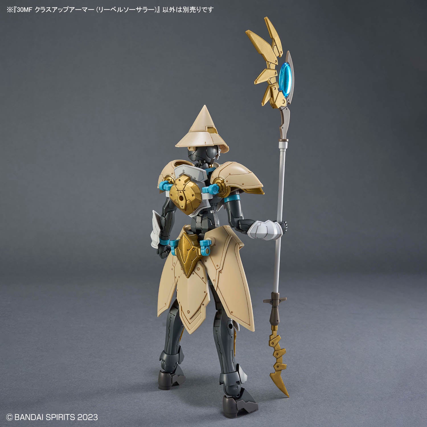 30 Minutes Fantasy Class-Up Armor Liber Sorcerer Accessory Kit