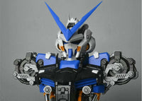 1/35 Astray Busts Blue