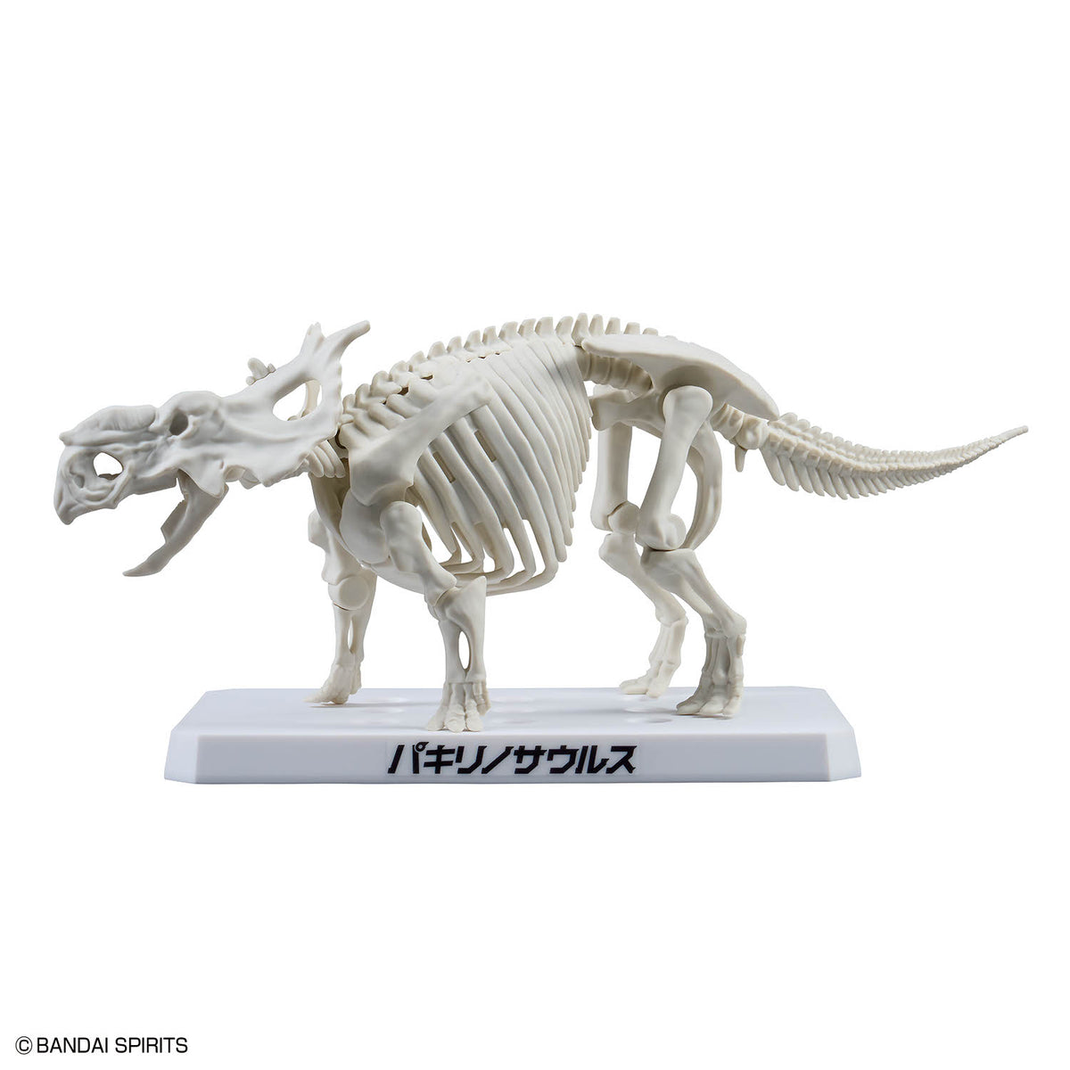Plannosaurus Pachyrhinosaurus Model Kit