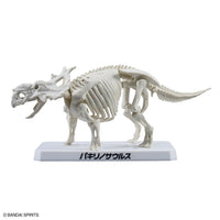 Plannosaurus Pachyrhinosaurus Model Kit