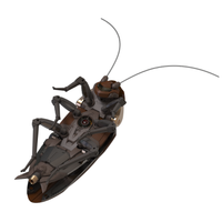 RB-P-02 Guangdong Cockroach (Cantonese Heavy Utility Vehicles) Model Kit