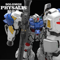 Solomon 1/100 Scale Model Kit