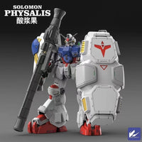 Solomon 1/100 Scale Model Kit